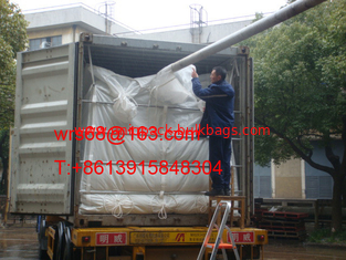 China ISO9001 / ISO14000 20ft PP woven dry bulk container liner for PET resin supplier