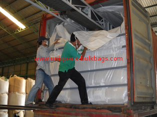 China 20ft PP woven container liner for grain,soya bean, corn, seeds, fertilizer supplier