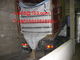 20ft,30ft ,40ft WPP Waterproof Dry Bulk Container Liner Bag With fast discharge spout supplier
